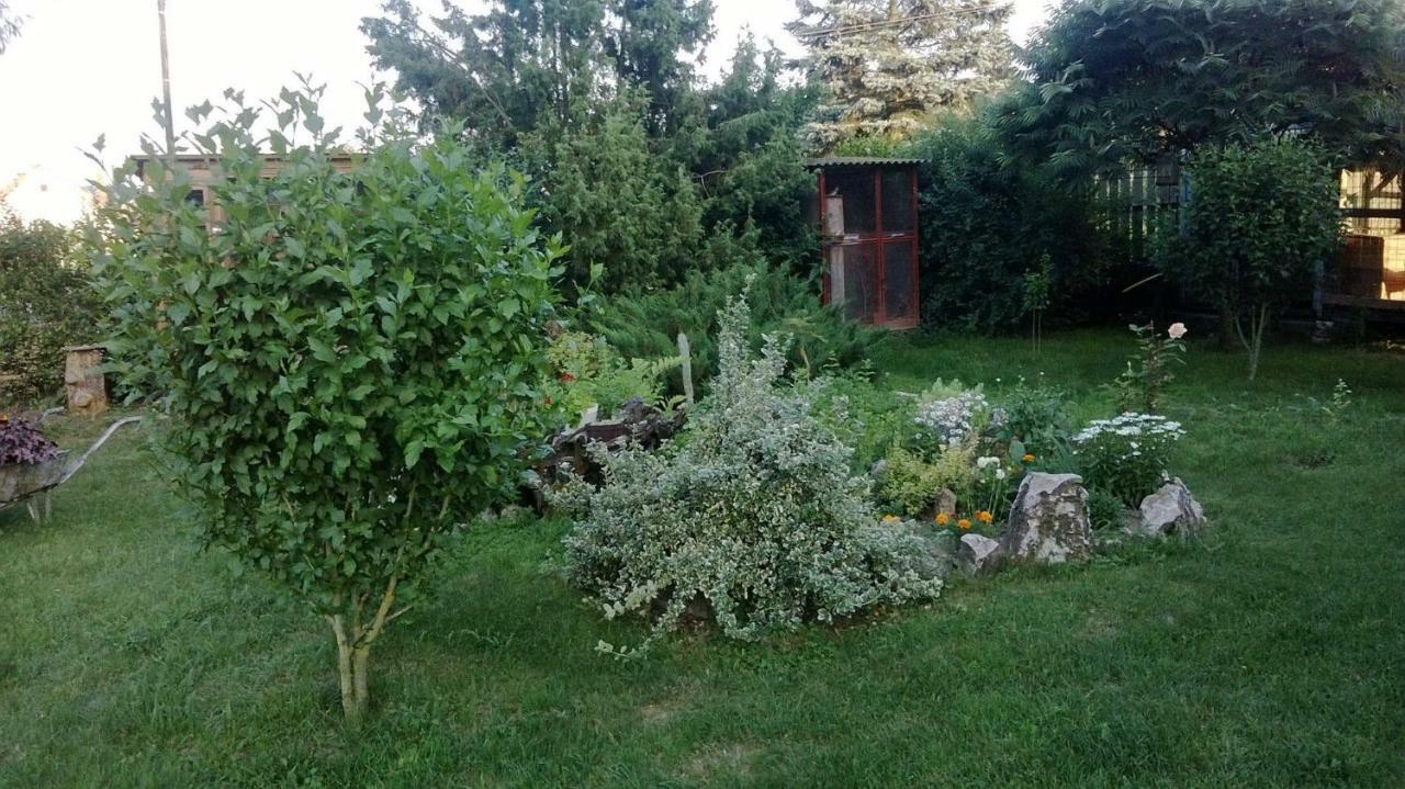 Barnabas Rusnak Ubytovanie V Sukromi Mucin 外观 照片
